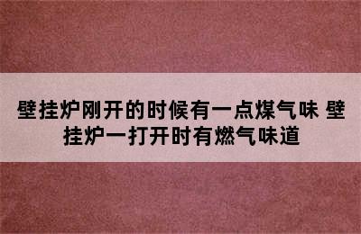 壁挂炉刚开的时候有一点煤气味 壁挂炉一打开时有燃气味道